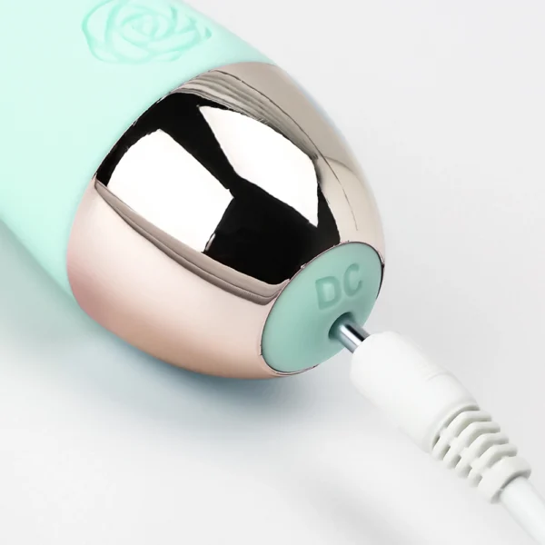 Portable Mini Wand Vibrator 2