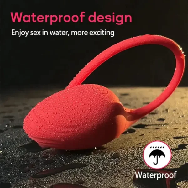 Succubus App Controlled Vibrating Egg | Female Sex Toy - Image 2